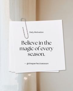 475895552 18028804277630121 5206970453211285255 n